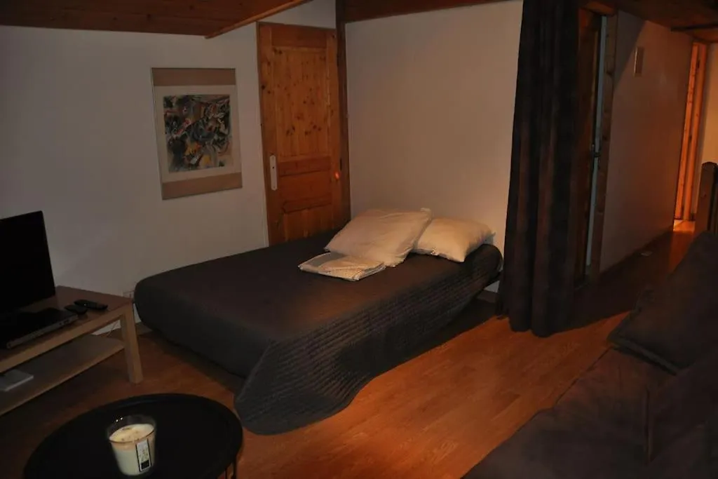 Appartement En Duplex Dans Chalet A Talloires France