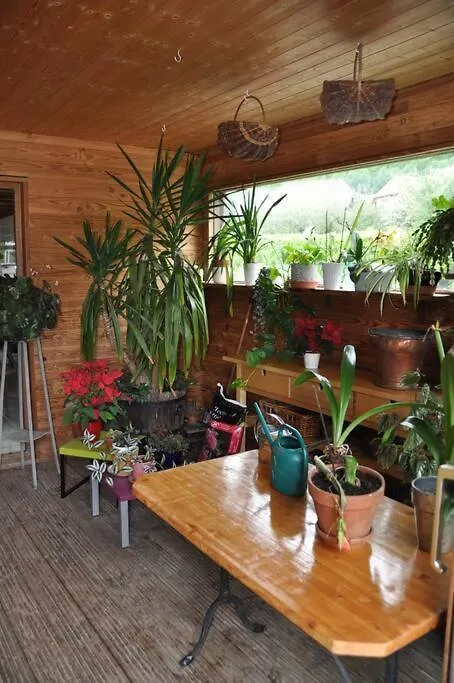Apartment Appartement En Duplex Dans Chalet A Talloires France
